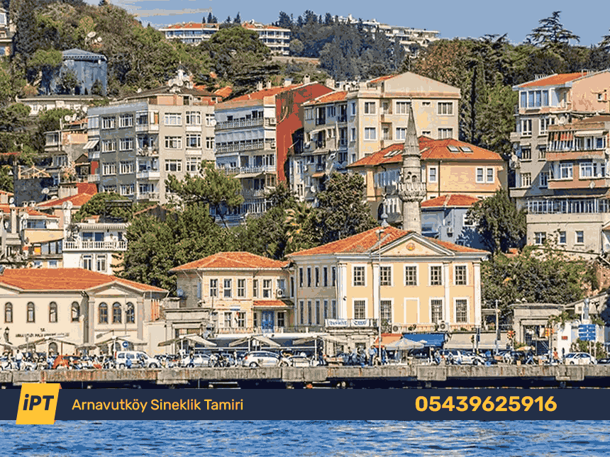 Arnavutköy Sineklik Tamiri