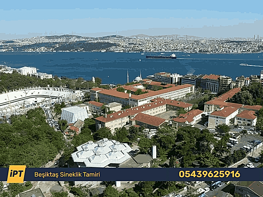 Beşiktaş Sineklik Tamiri