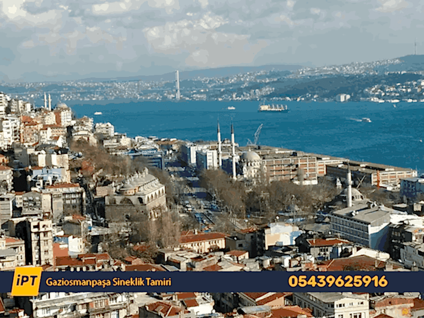 Gaziosmanpaşa Sineklik Tamiri