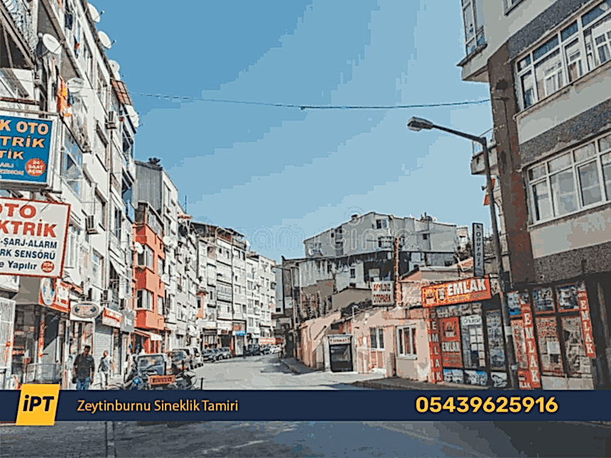 Zeytinburnu Sineklik Tamiri