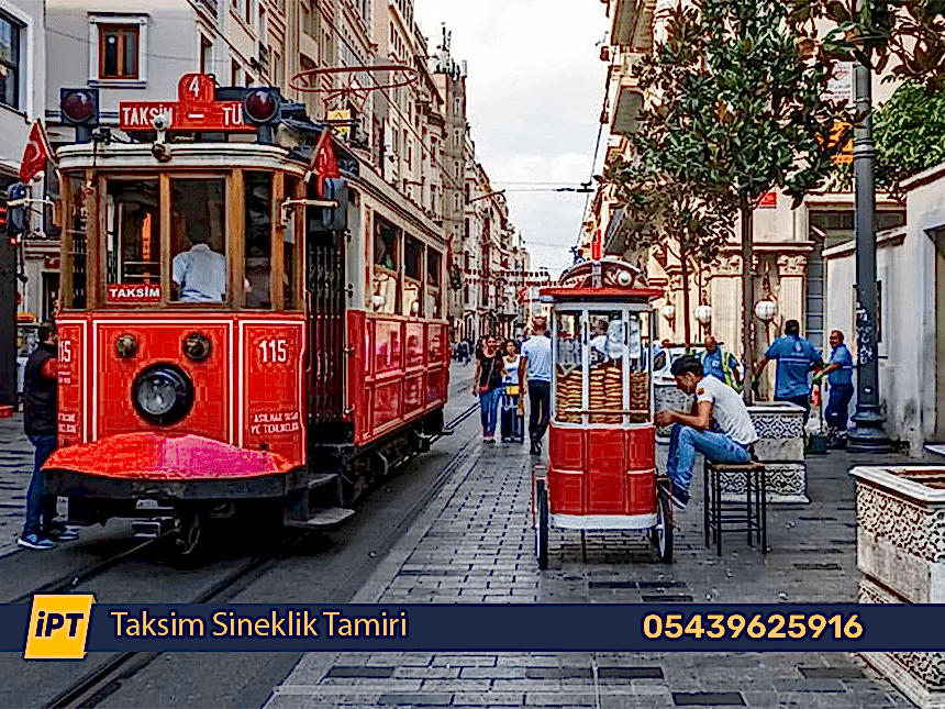 Taksim Sineklik Tamiri
