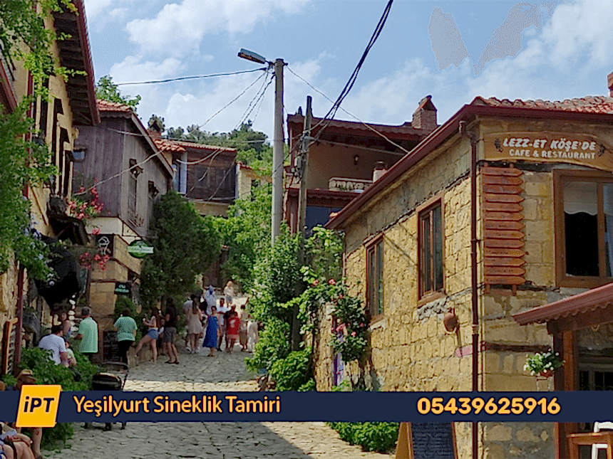 Yeşilyurt Sineklik Tamiri